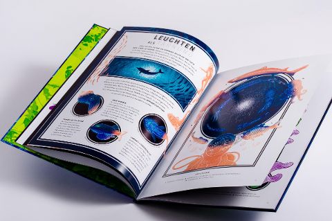 InsideView 5