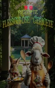 Cover-Bild zum Titel 'FLEISCHLOSE GERICHTE' von 'RAYMONDi'