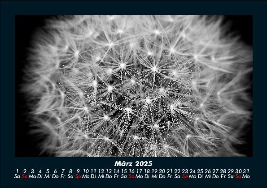 InsideView 7