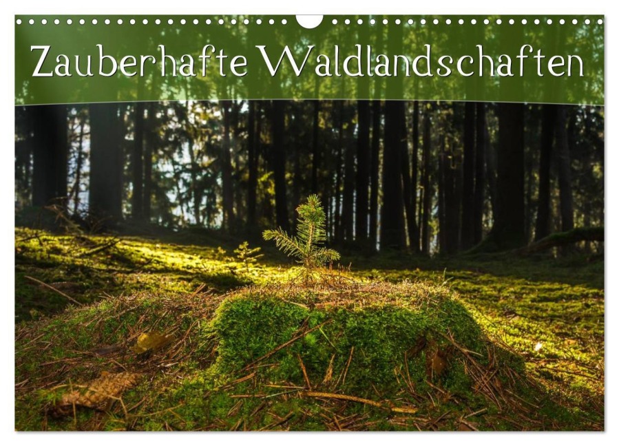 Zauberhafte Waldlandschaften (Wandkalender 2026 DIN A3 quer), CALVENDO Monatskalender - Marcel Wenk