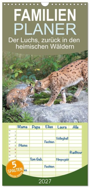 Familienplaner 2027 - Der Luchs, zurück in den heimischen Wäldern mit 5 Spalten (Wandkalender, 21 x 45 cm) CALVENDO - Friedrich Eichmann