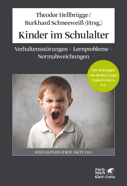 Kinder im Schulalter - Theodor Hellbrügge, Burkhard Schneeweiß