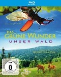 Cover-Bild zum Titel 'Das grüne Wunder - Unser Wald' von 'Jan Haft, Jörn Röver, Gerwig Lawitzky, Siggi Mueller, Jörg Magnus Pfeil'