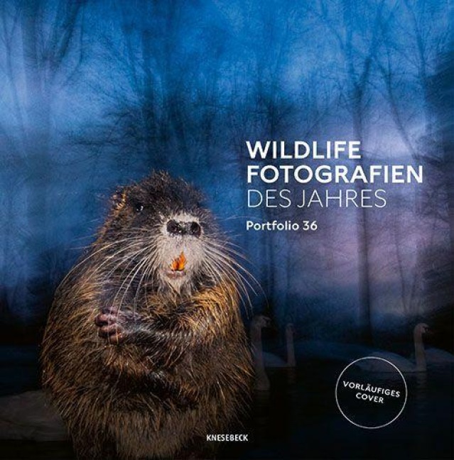 Wildlife Fotografien des Jahres - Portfolio 36 - 