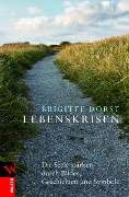 Cover-Bild zum Titel 'Lebenskrisen' von 'Brigitte Dorst'
