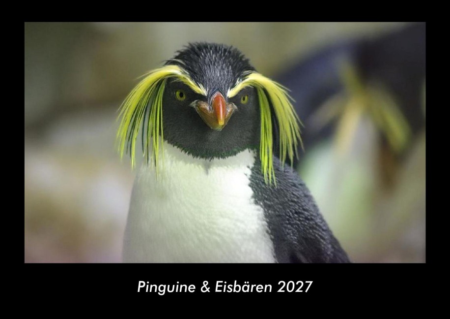 Pinguine & Eisbären 2027 Fotokalender DIN A3 - Tobias Becker