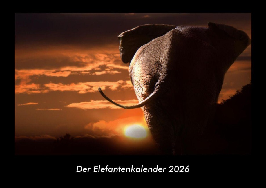 Der Elefantenkalender 2026 Fotokalender DIN A3 - Tobias Becker