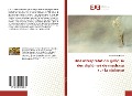 Cover-Bild zum Titel 'Une interprétation galloise des diplômes de madrasa sur la violence' von 'Kazi Sameeo Sheesh'