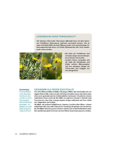 InsideView 7