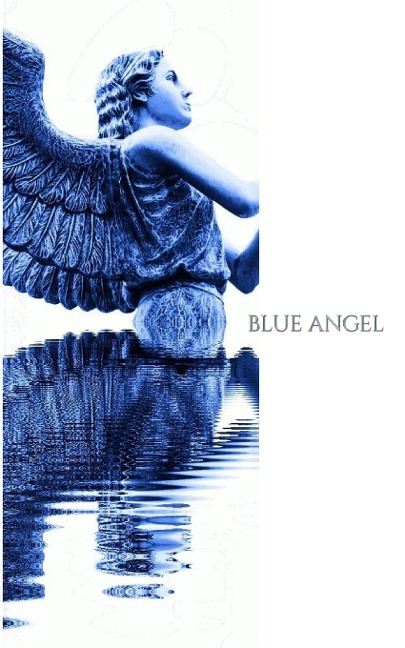 Blue Angel Writing Drawing Journal - Michael Huhn