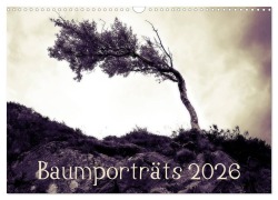 Baumporträts 2026 (Wandkalender 2026 DIN A3 quer), CALVENDO Monatskalender - Katja Jentschura