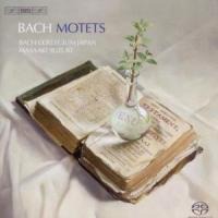 Die Motetten - Suzuki/Nonoshita/Guillon/Mizukoshi/Wörner/Bach Col
