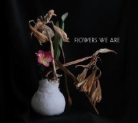 Cover-Bild zum Titel 'Flowers We Are' von 'Flowers We are'