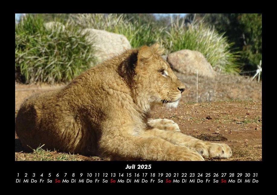 InsideView 11