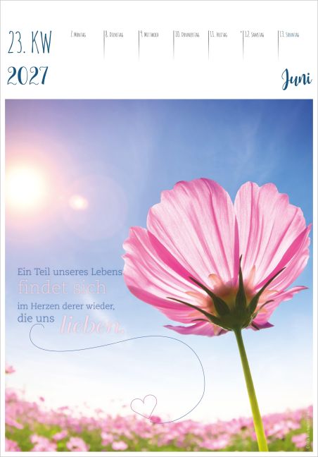 InsideView 3