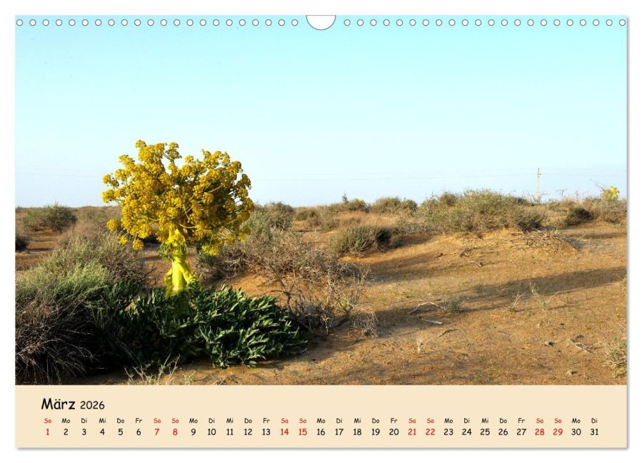 InsideView 8
