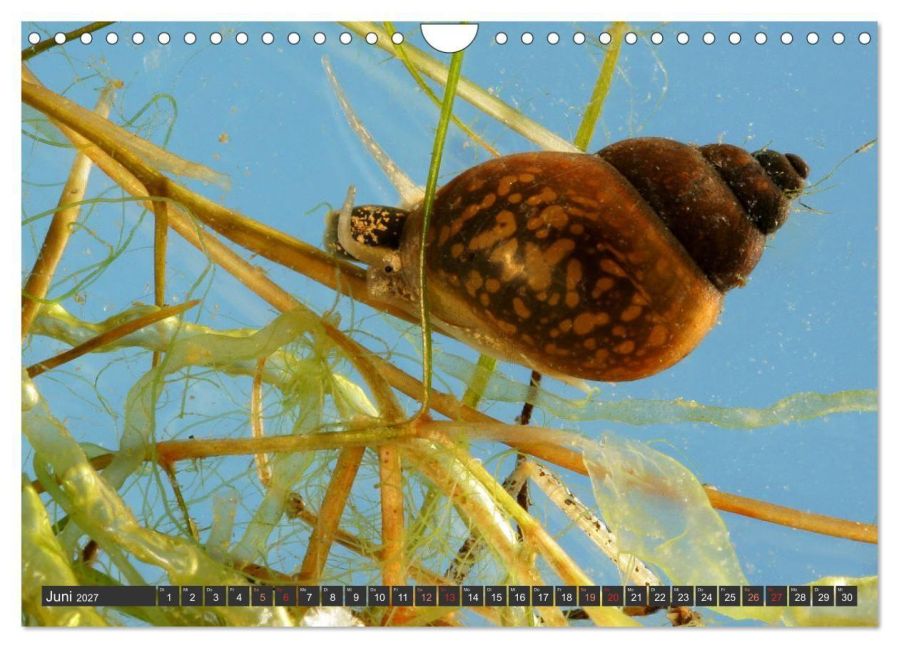InsideView 11