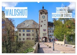 Cover-Bild zum Titel 'Waldshut - schmuckes Hochrhein Städtle (Wandkalender 2026 DIN A2 quer), CALVENDO Monatskalender' von 'Liselotte Brunner-Klaus'