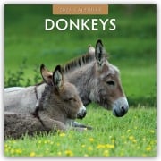 Donkeys - Esel 2026 - 16-Monatskalender - Robin Red