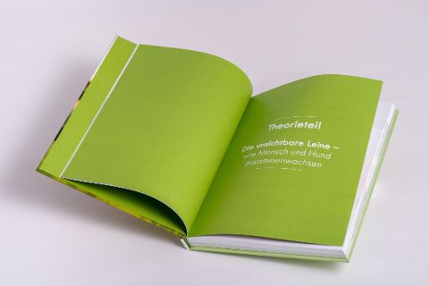 InsideView 3