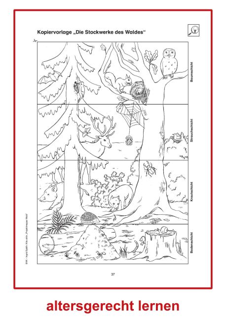 InsideView 6