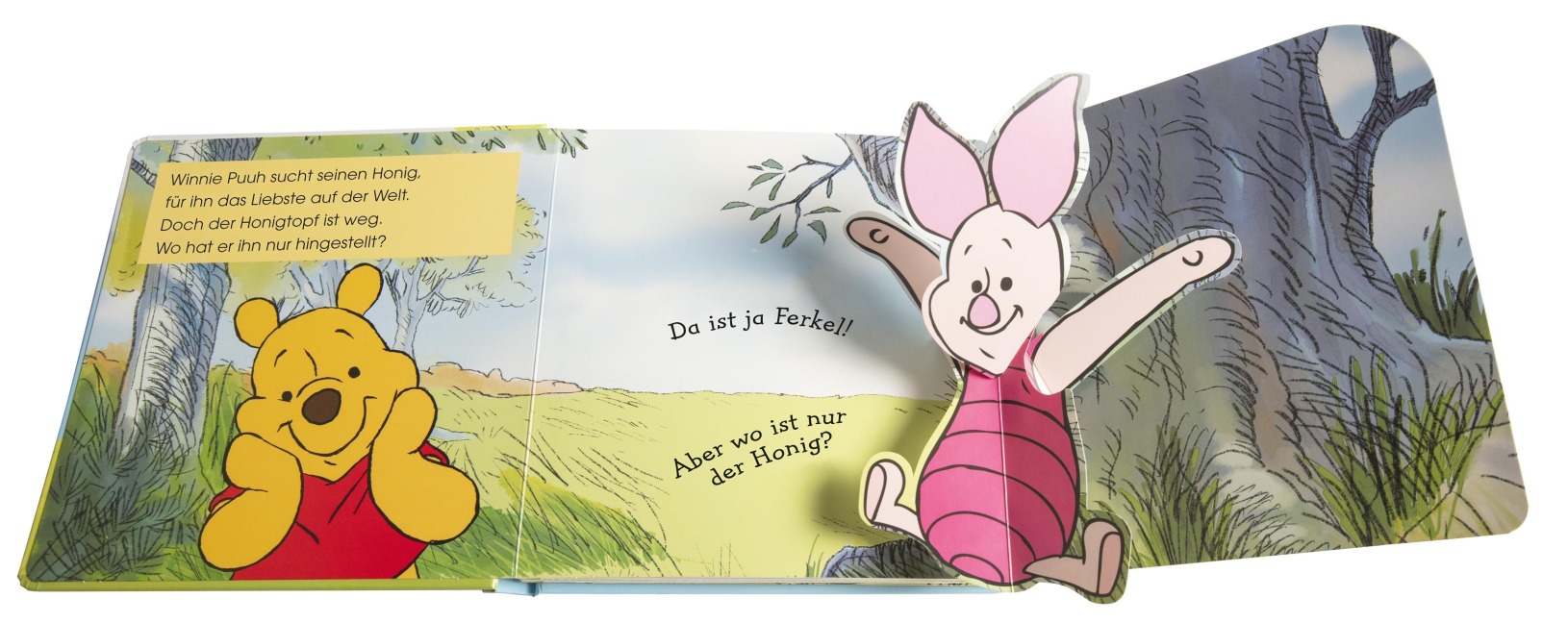 Mein Pop-up-Buch zum Staunen. Disney Winnie Puuh - Franziska Jaekel