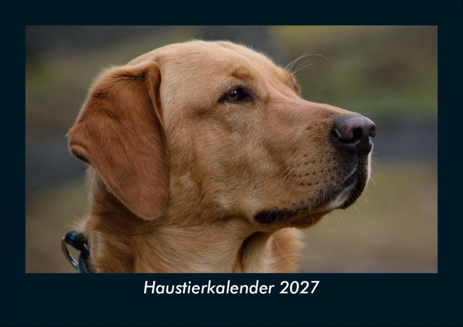 Haustierkalender 2027 Fotokalender DIN A5 - Tobias Schmitt, Kevin Heber