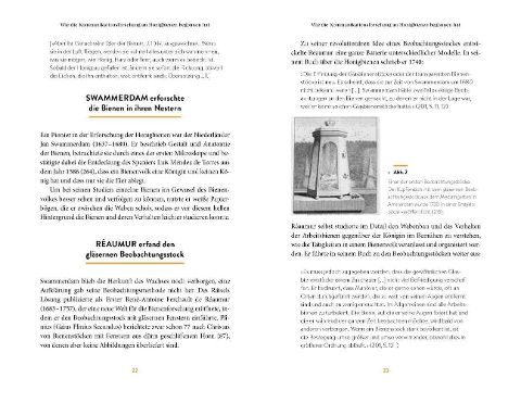 InsideView 10