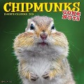 Chipmunks (Gone Nuts!) 2024 12 X 12 Wall Calendar - Willow Creek Press