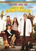 Cover-Bild zum Titel 'Niyazi Gül Dörtnala DVD' von ''