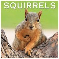 Squirrels 2025 12 X 12 Wall Calendar - Willow Creek Press