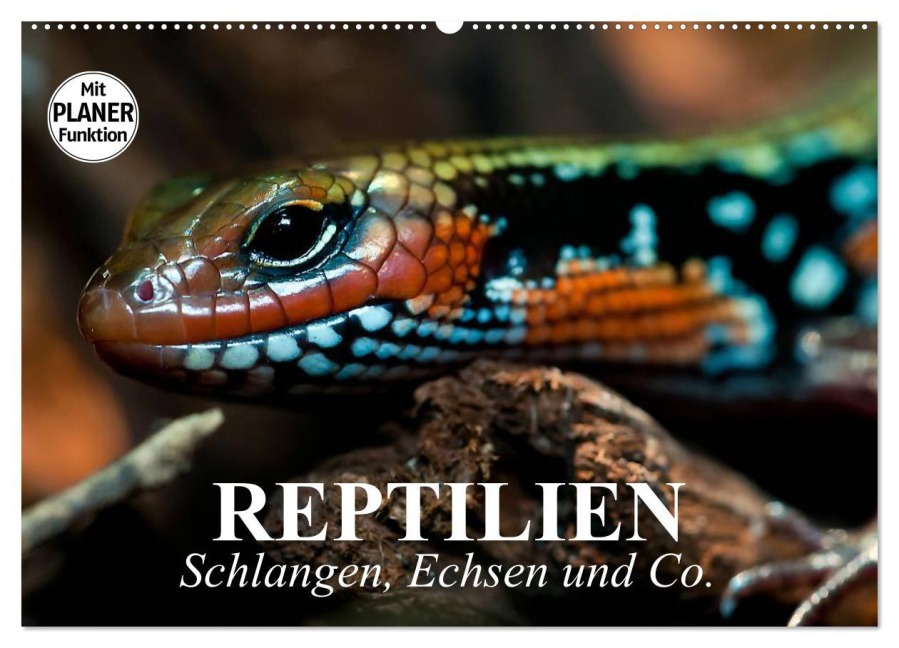 Reptilien. Schlangen, Echsen und Co. (Wandkalender 2026 DIN A2 quer), CALVENDO Monatskalender - Elisabeth Stanzer