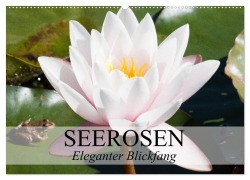 Seerosen - Eleganter Blickfang (Wandkalender 2025 DIN A2 quer), CALVENDO Monatskalender - Elisabeth Stanzer