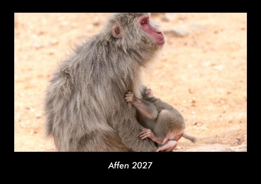 Affen 2027 Fotokalender DIN A3 - Tobias Becker