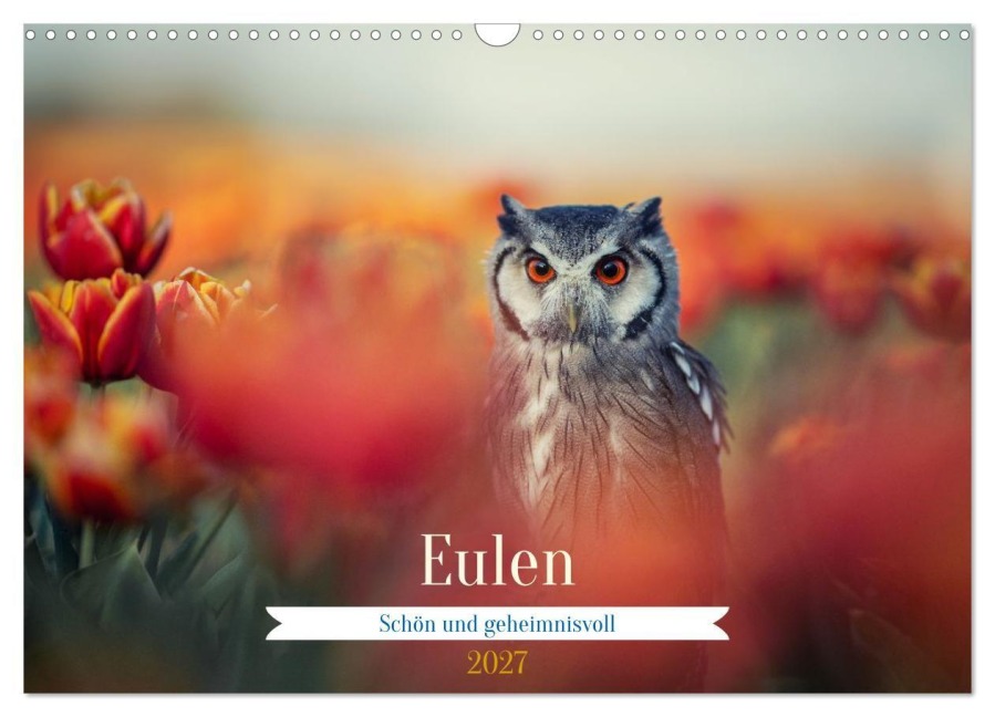 Eulen - schön und geheimnisvoll (Wandkalender 2027 DIN A3 quer), CALVENDO Monatskalender - Tanja Brandt