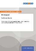 Cover-Bild zum Titel 'Software-Besitz' von 'M. Westphal'