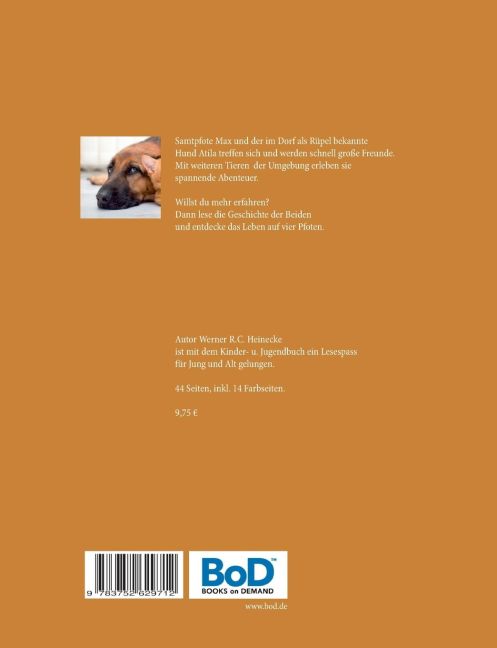 InsideView 1