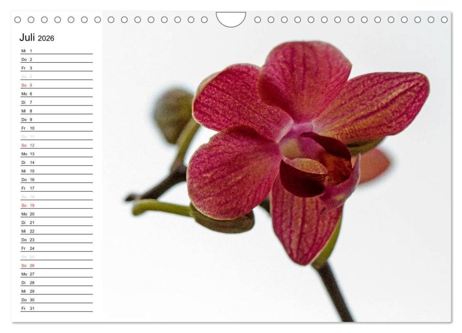 InsideView 12