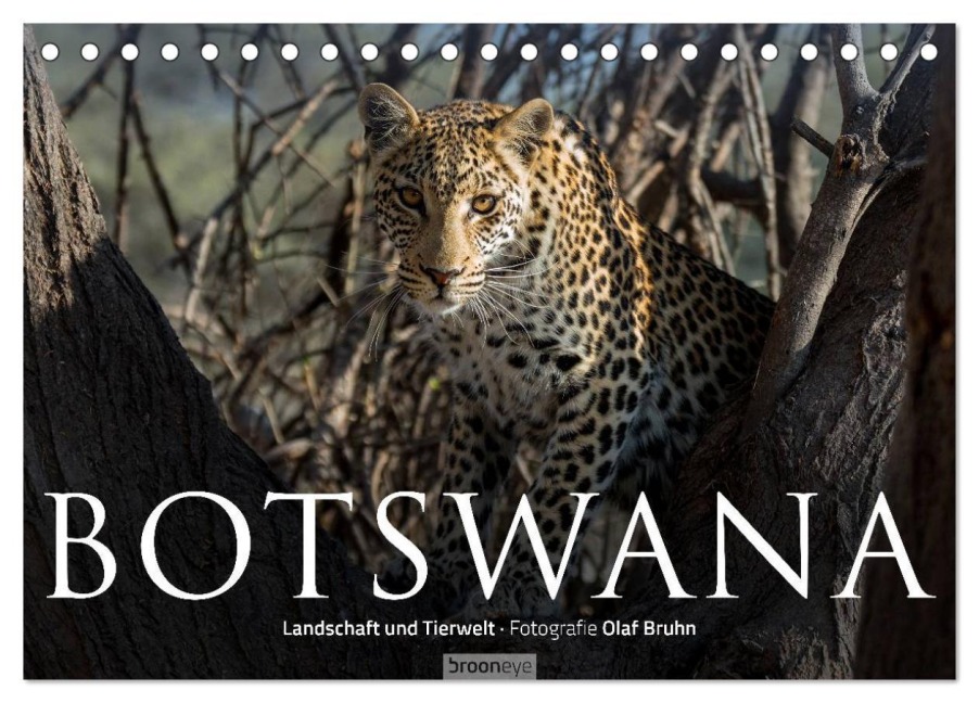Botswana - Landschaft und Tierwelt (Tischkalender 2026 DIN A5 quer), CALVENDO Monatskalender - Olaf Bruhn