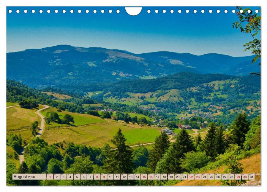 InsideView 13