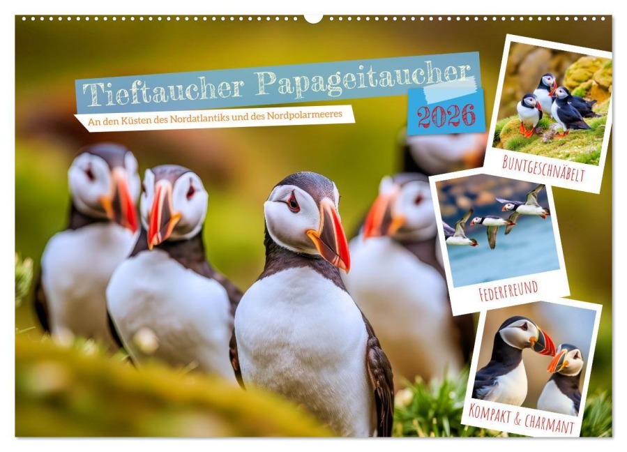 Tieftaucher Papageitaucher (Wandkalender 2026 DIN A2 quer), CALVENDO Monatskalender - Torsten Irmer
