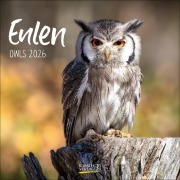 Cover-Bild zum Titel 'Eulen 2026' von ''