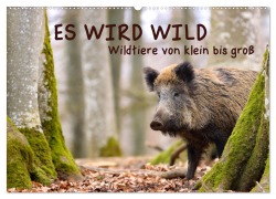 ES WIRD WILD Wildtiere von klein bis groß (Wandkalender 2025 DIN A2 quer), CALVENDO Monatskalender - Angela Merk