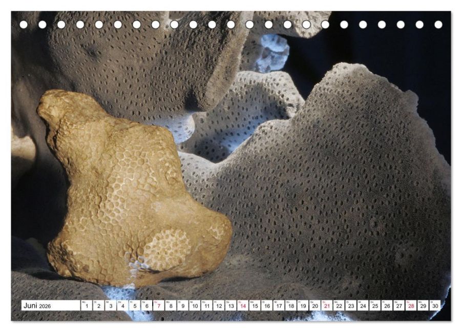 InsideView 11