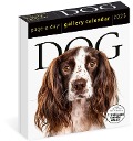 Dog Page-A-Day® Gallery Calendar 2025 - 