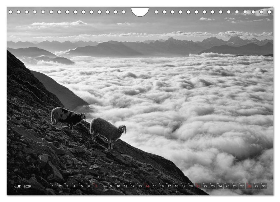 InsideView 11