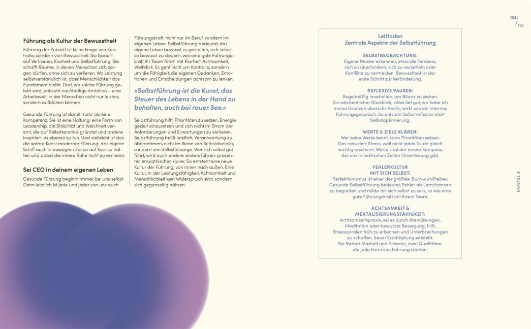 InsideView 8