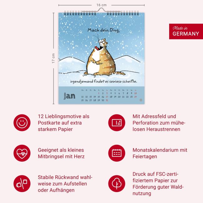 InsideView 13