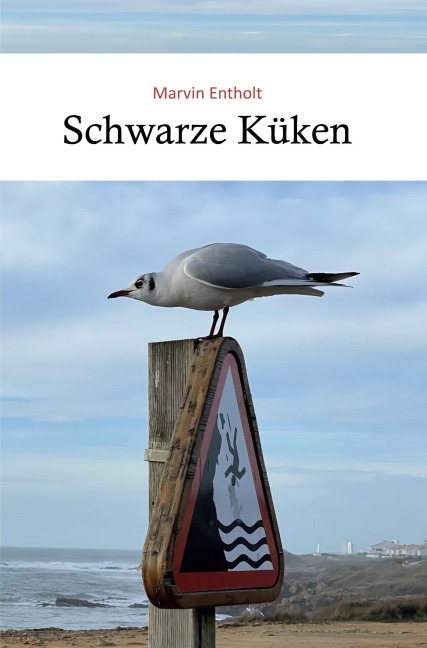 Schwarze Küken - Marvin Entholt