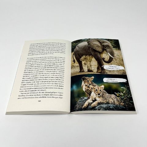InsideView 6